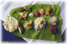 Agastya Garden Indien Meals